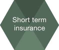 Short term insurance